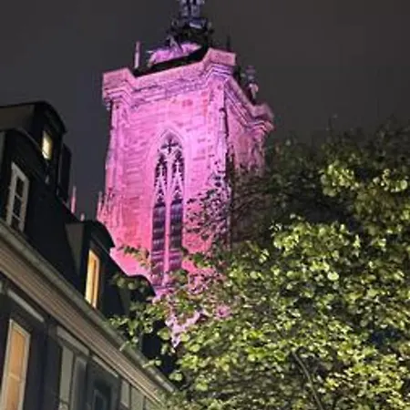 Cœur I Parking Privé I Lumineux Colmar